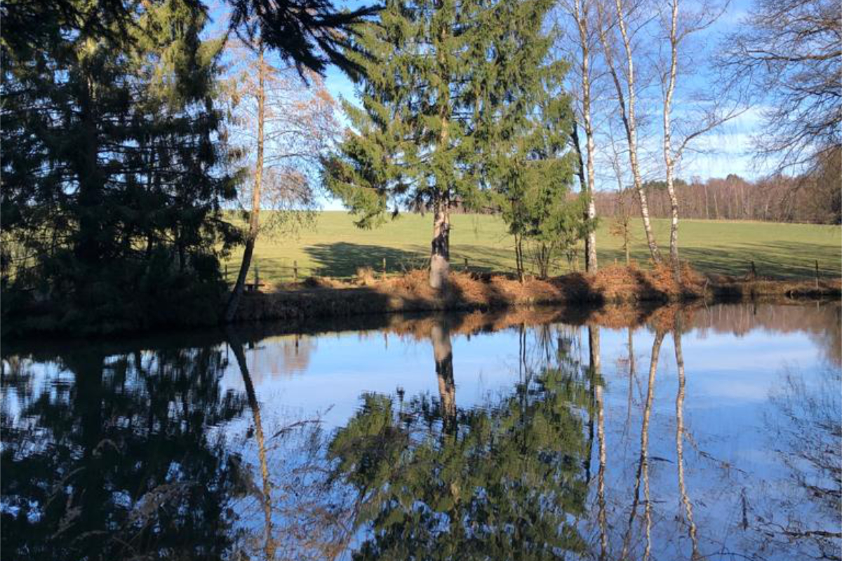 Verwunschener Teich OberbergAktuell